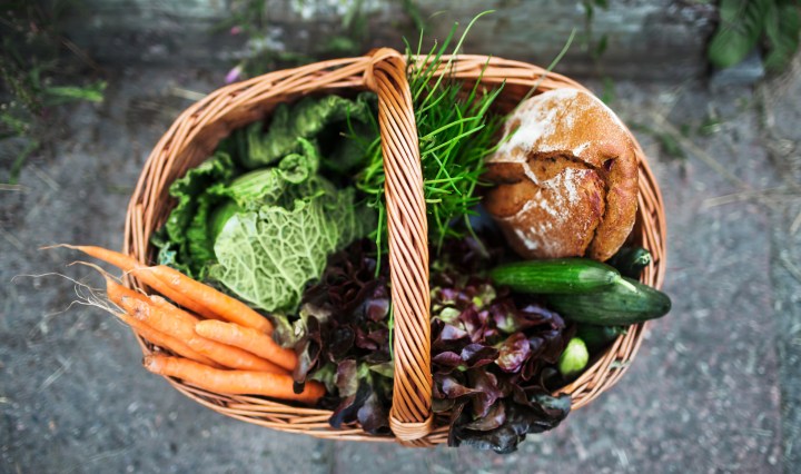 Récolte de légumes